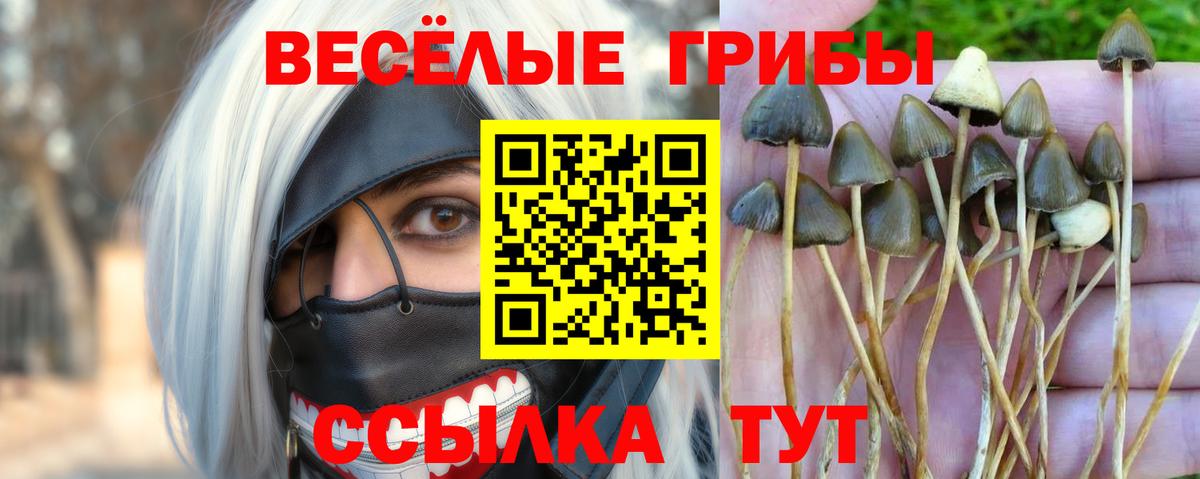 Гурьевск  Галлюциногенные грибы мицелий  Вход с VPN 